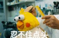 深圳女子因养鹦鹉被举报，你知道这种鹦鹉不能随便养吗？