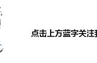 揭秘钓鱼高手的秘密武器：6种常见鲫鱼饵料的使用方法