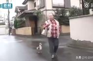 揭秘！老奶奶与宠物鸭的温馨日常