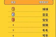 哈尔滨狗狗热门名字榜单TOP10揭晓！