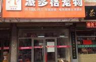 开宠物店的资金大解密：你需要准备多少？