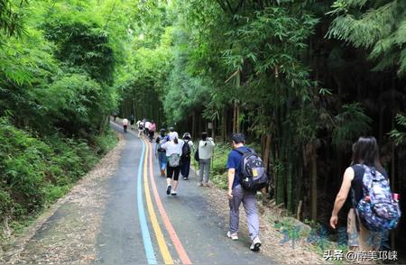 徒步山野之旅：拥抱自然，与天台山千人同行