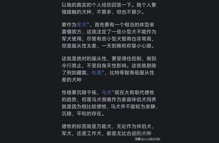 揭秘德国牧羊犬成为警犬背后的原因