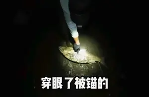 辽宁男子夜钓惊险瞬间：死鱼咬钩引热议