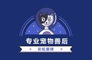 彩虹星球提供全面的宠物殡葬服务