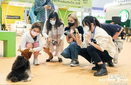 第24届亚宠展圆满落幕：深圳宠物市场崭露头角