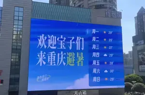 笑翻网友！重庆曲面屏旅游背后的趣事与真相揭秘