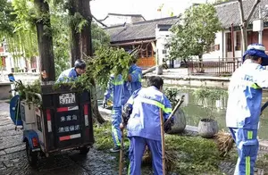 台风过后朱家角古镇景区的重生之旅