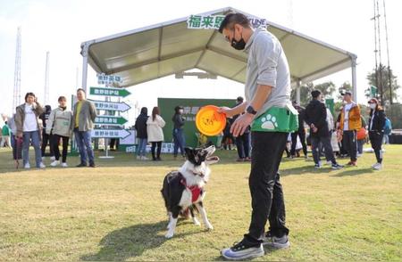 狗巴迪勇士赛上海站盛大开启，与爱犬默契度爆表！