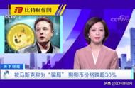 SHIB大涨背后的故事：如何把握加密货币的投资机会？