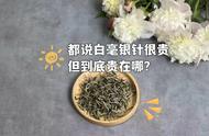 初次尝试白茶，为何白毫银针的价格如此之高？如何购买以避免陷阱？