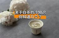 白茶的寒凉与温和：8个关键冷知识一览无余