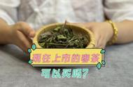 春茶上市时间差异：为何有的在3月，有的在5月？