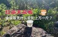 金骏眉：红茶中的天花板，为何能卖到上万一斤？