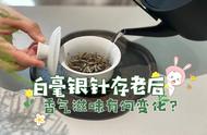 如何鉴别白毫银针的收藏价值？越存越“有价值”的秘密是什么？