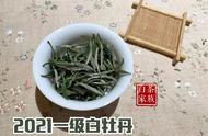 白茶散茶与饼茶：哪个口感更佳？新茶友该如何选择？