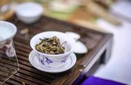 普洱茶的秘密：茶人升级的必备指南