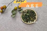 白茶的快捷方式：将饼茶全部撬开成散茶，可行吗？