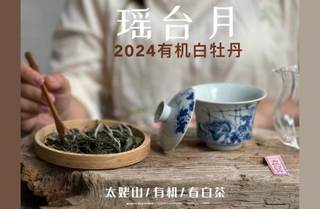 独自品茗，精选茶具搭配指南