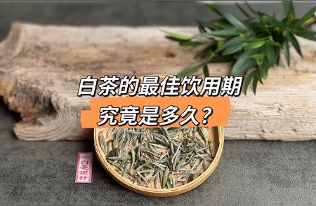 白茶饮用期解析：白毫银针新茶与寿眉老茶的品鉴之道