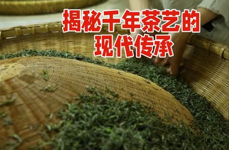 古法炒茶：千年茶艺的匠心传承