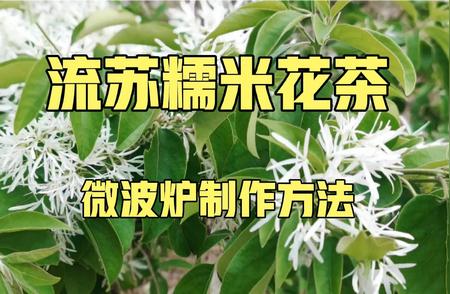 流苏糯米花茶：微波炉制作教程