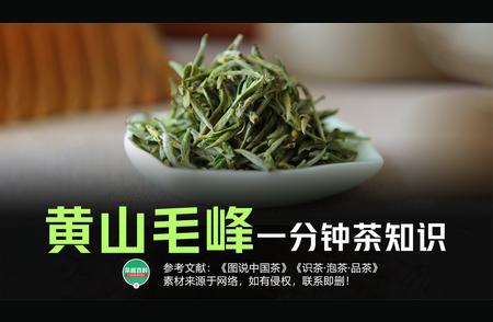 探寻黄山秘境：揭秘黄山毛峰茶的独特魅力