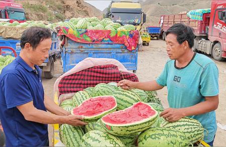 靖远旱砂西瓜：独特地域的消暑佳品