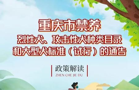 重庆禁养犬种大揭秘：从10月1日起，罗威纳犬等32种狗狗需谨慎选择！