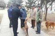 公安机关强化犬类管理：39种禁养犬纳入管控范围