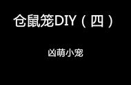 仓鼠笼DIY全攻略：从选材到装饰，打造舒适小窝