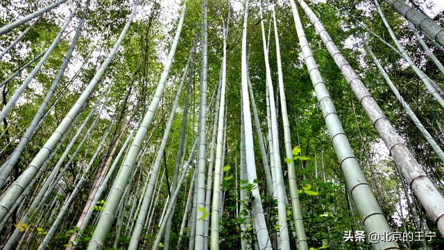 富春江上的“严子陵钓台”