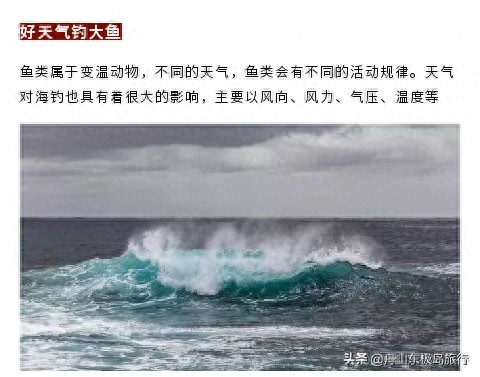 「海钓攻略」磨刀不误砍柴工，海钓前先来看看这几个实用技巧吧