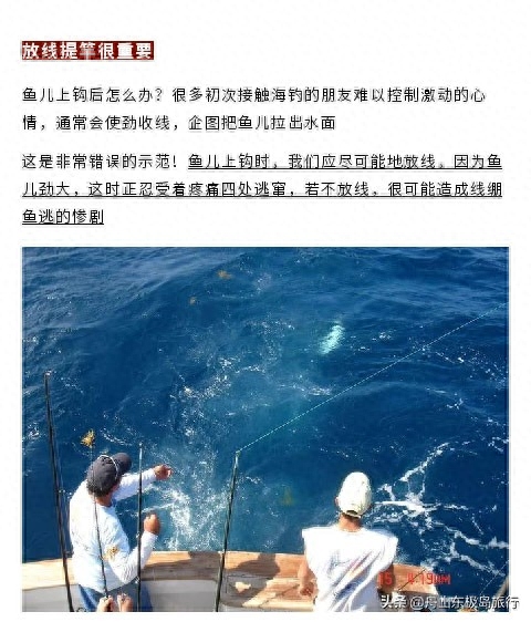 「海钓攻略」磨刀不误砍柴工，海钓前先来看看这几个实用技巧吧