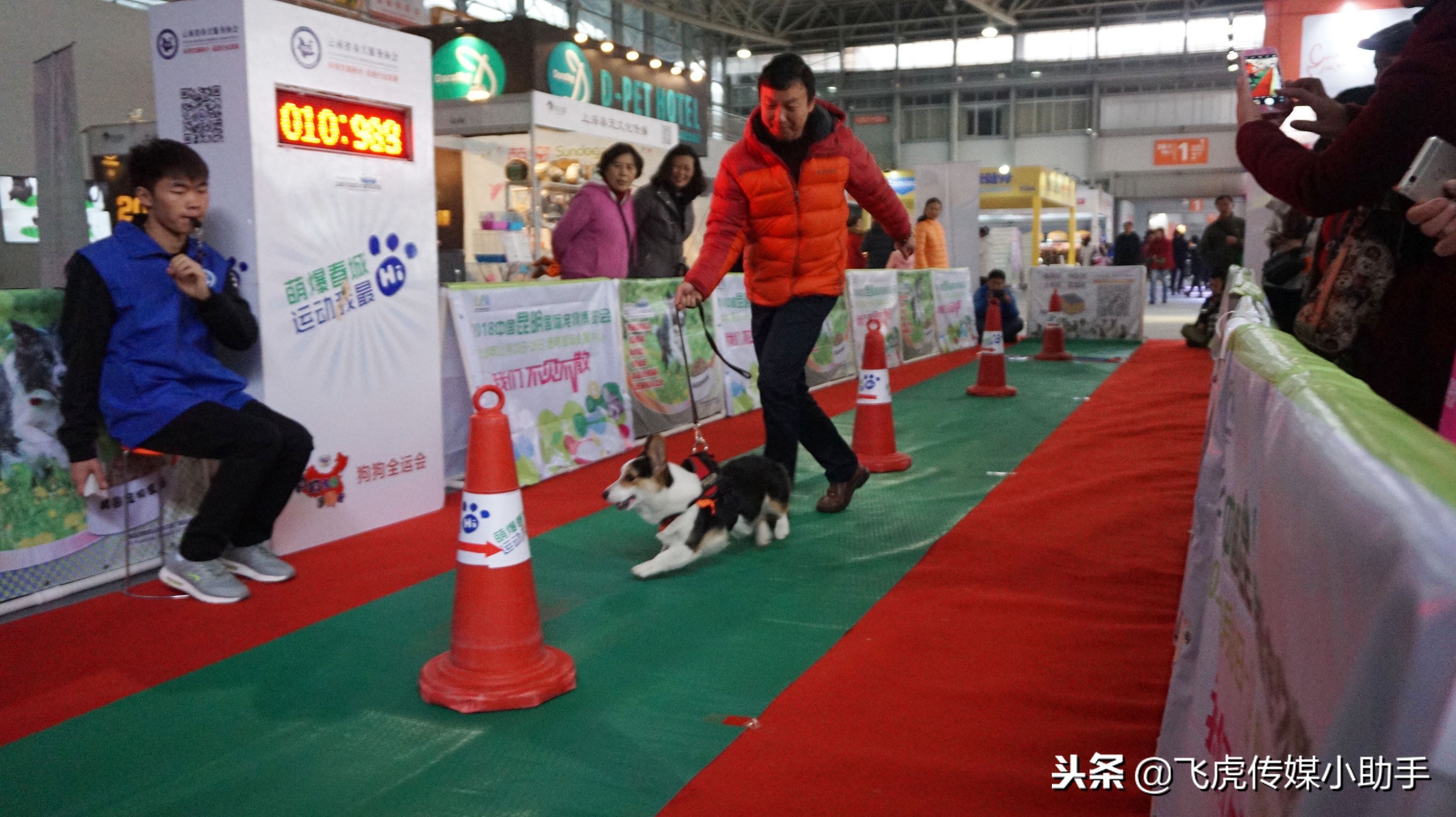 「倒计时1天」第三届中国昆明东盟宠物博览会：2018.11.30-12.3