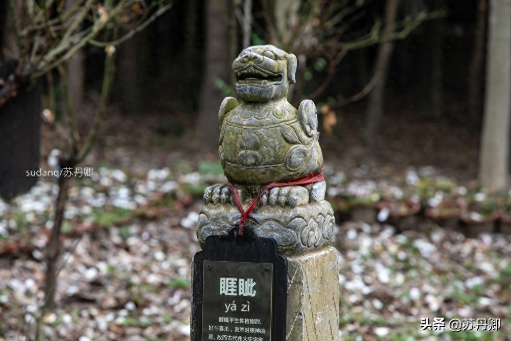 龙生九子各不相同，其形象随处可见，但包括貔貅和麒麟吗？