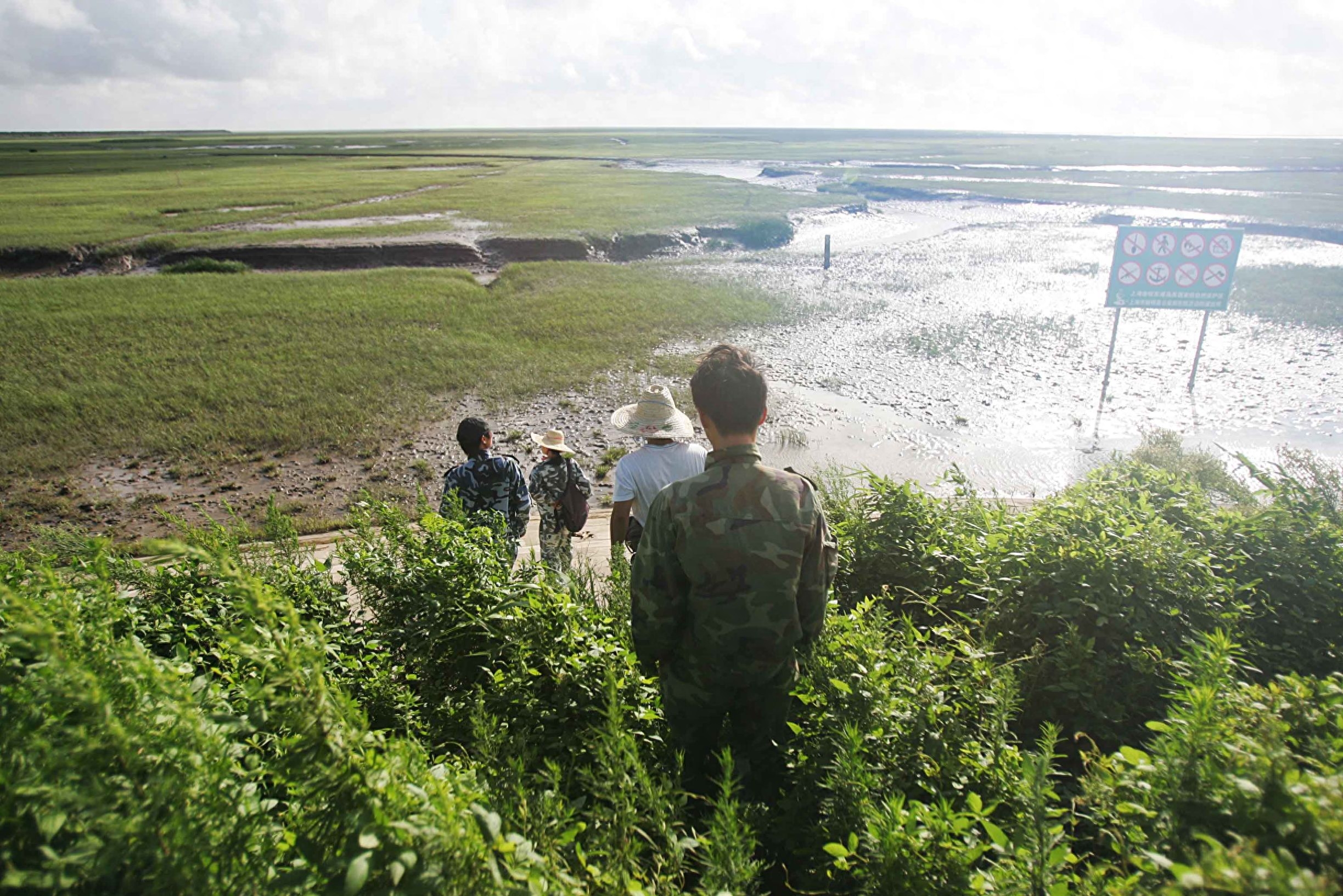 在崇明东滩湿地，除了东方白鹳、招潮蟹和芦苇外，就是科研工作者