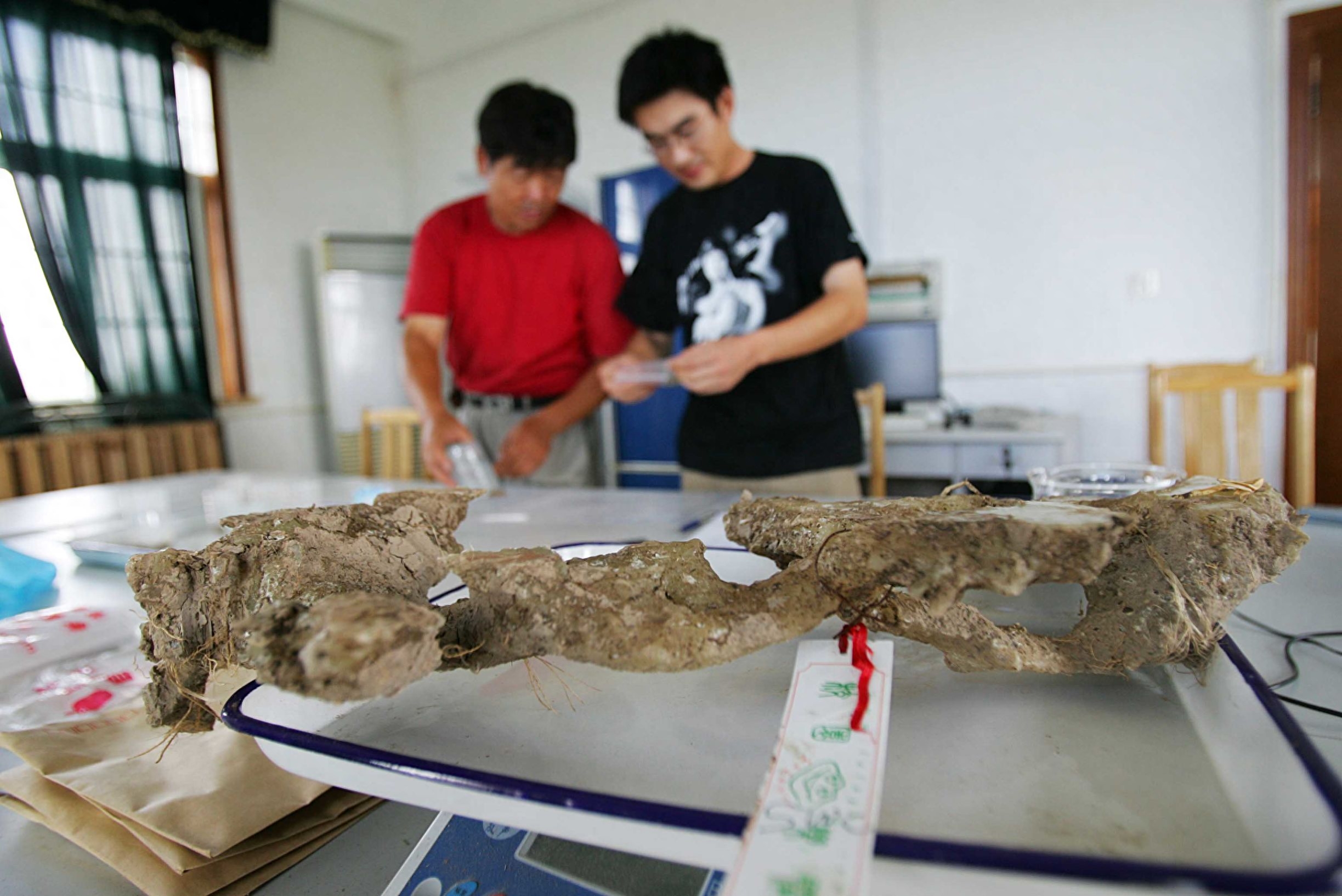 在崇明东滩湿地，除了东方白鹳、招潮蟹和芦苇外，就是科研工作者